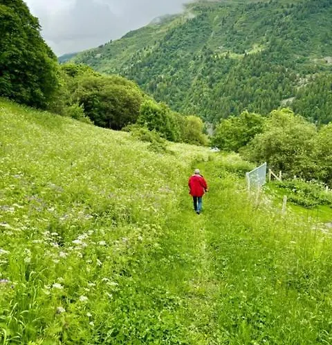 Les Chryolles - Les Sources
