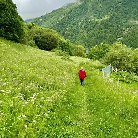 Les Chryolles - Les Sources